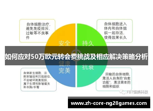 如何应对50万欧元转会费挑战及相应解决策略分析