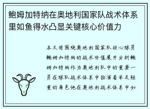 鲍姆加特纳在奥地利国家队战术体系里如鱼得水凸显关键核心价值力 鲍姆加特纳在奥地利国家队战术体系里如鱼得水凸显关键核心价值力